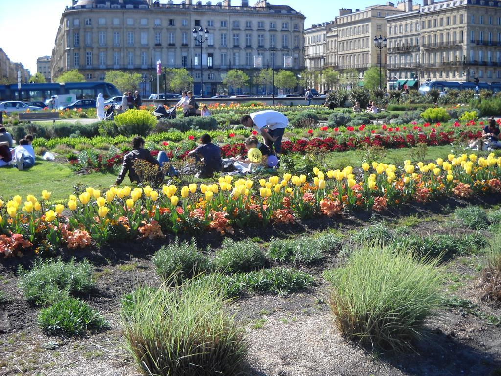 Beautiful Old Property In Bordeaux Center Стая снимка
